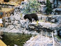 photos 2000-200901006